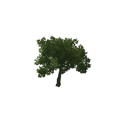 HVR Tree V02 T02 C01